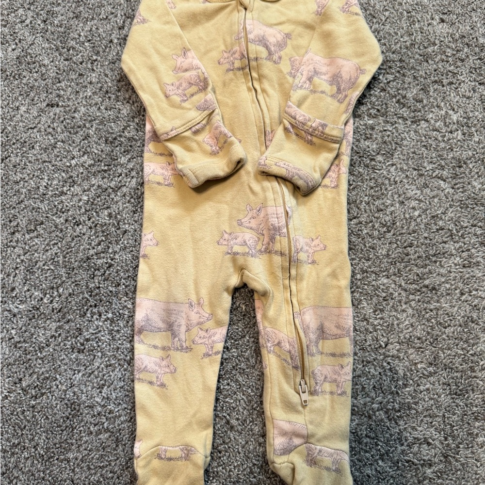 Kate Quinn Pig Footie